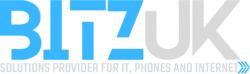 BitzUk Web Design & Hosting